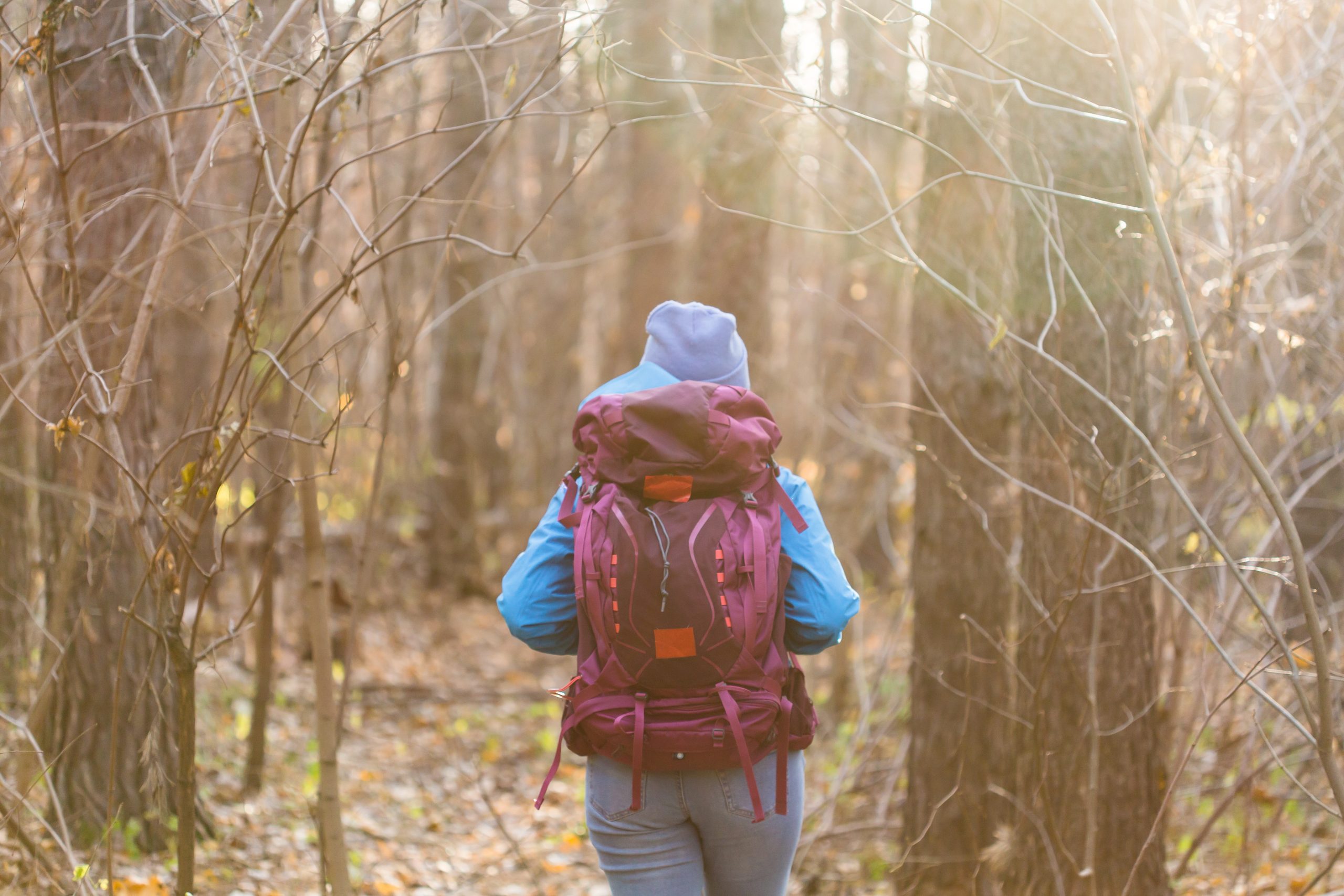 People and nature concept -Traveller woman walking in the forest.